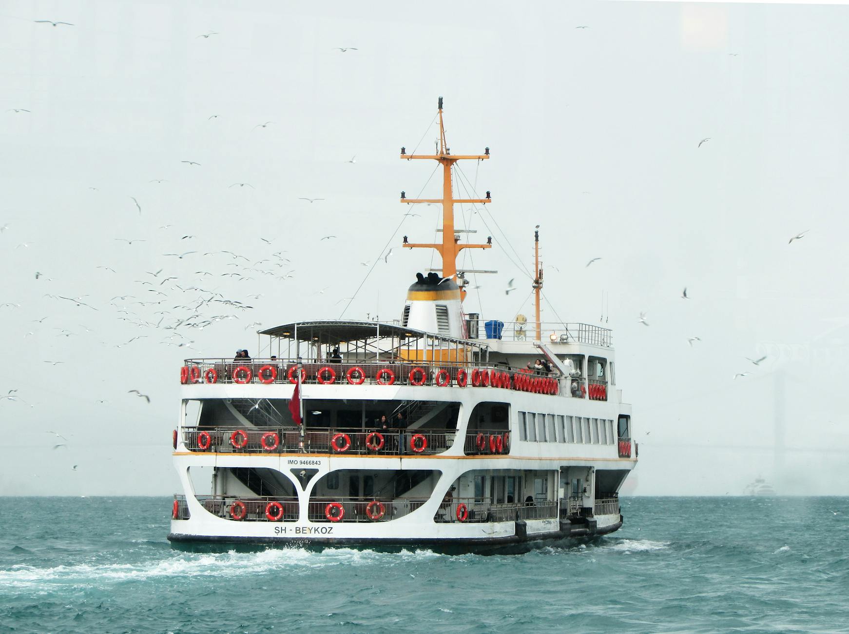 poferries.com