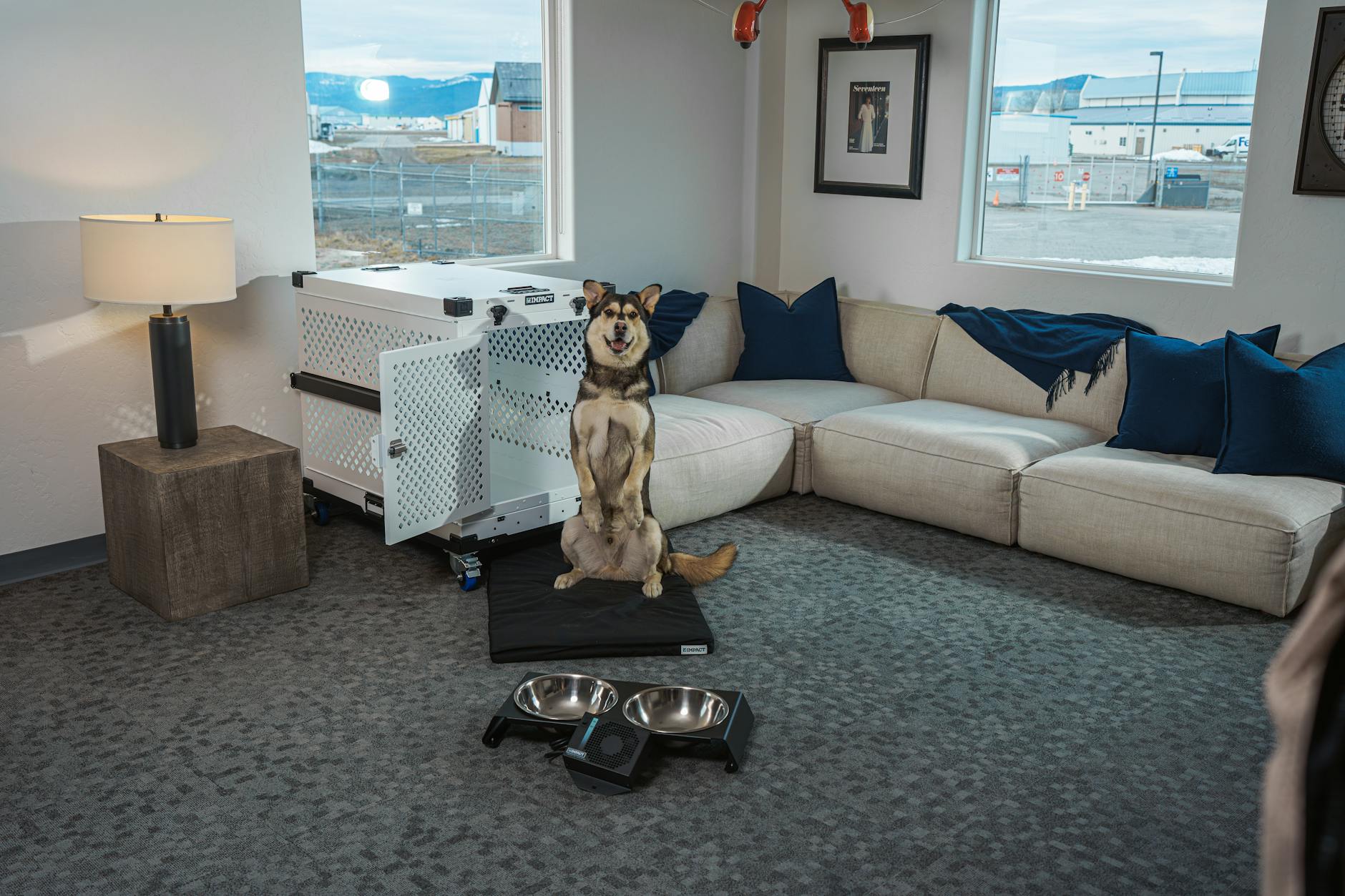 trustedhousesitters.com